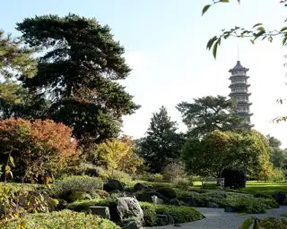 Le jardin japonais des Royal Botanic Gardens Kew avec des arbres, un sentier et un temple