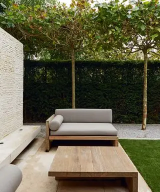 Ein Beispiel für kleine Hinterhofideen, das einen modernen Terrassenbereich mit Sitzgelegenheiten, einem Holztisch und einer Reihe gefiederter Bäume dahinter zeigt