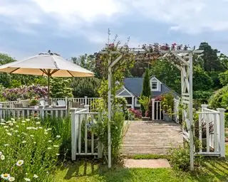 Ideas de enrejado con pérgola