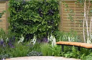 Muro vivo del panel de la cerca del enrejado