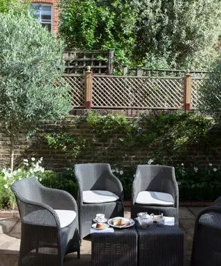 Ideas de enrejado con adorno de enrejado en un jardín pequeño