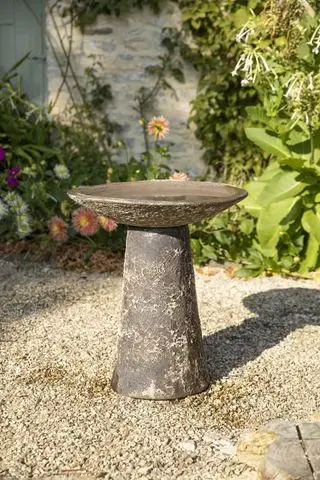 Bain d'oiseaux en pierre dans un jardin de cottage