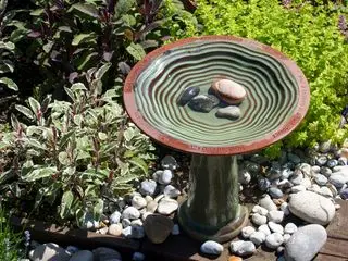 bain d'oiseaux en céramique avec pierres dans le bassin