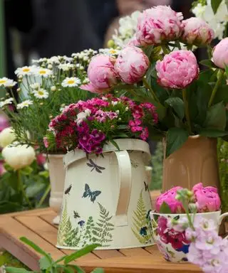 אדמוניות המשמשות כפרחים חתוכים באגרטלים