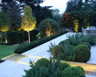 Hochgestellte Bäume und Gartenweg