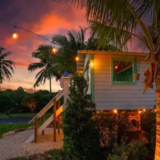 guirlandes lumineuses extérieures dans une cour