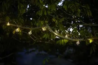 Un exemple d'idées d'éclairage à cordes extérieures montrant des guirlandes lumineuses de jardin autour d'une branche d'arbre