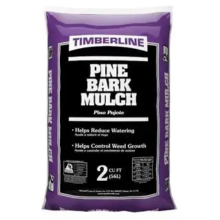 Pacciame di corteccia di pino