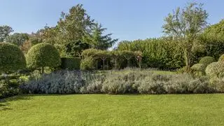 Pelouse verdoyante avec parterres de lavande et arbres topiaires