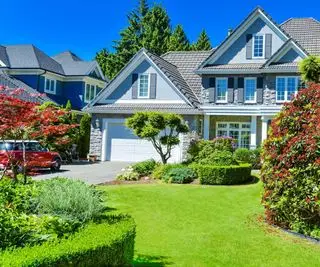 Slik dreper du ugress, men ikke gress – 6 ekspertmetoder for en grønnere og sunnere plen