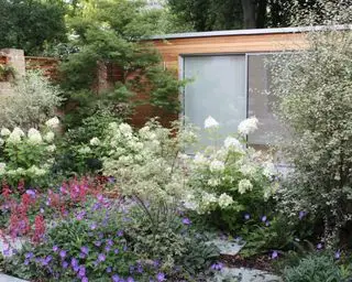 Nach Norden ausgerichteter Garten mit bepflanzten Blumenbeeten