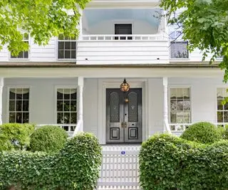 mur de cour avant recouvert de plantes grimpantes