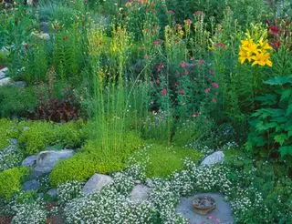 letná záhrada s hraničným chodníkom a kvitnúcou zemou pokrýva ľalie a penstemon
