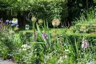 Výsadba chatovej záhrady