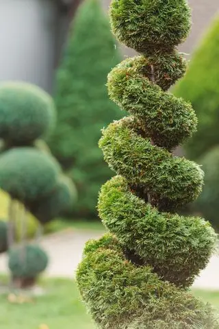 parco con arbusti, tuie topiatrie dalla forma sinuosa e prati verdi