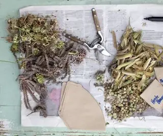 Flatlay av frøkapsler og etiketter