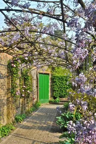 Nástenný rám Monet