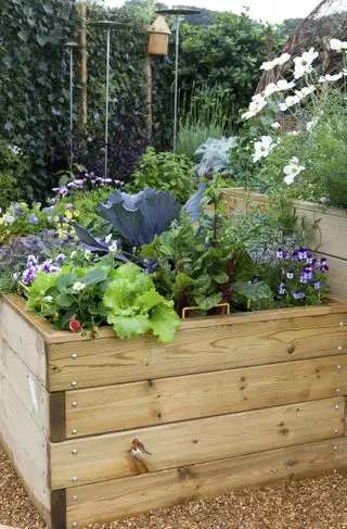 Idées de petits potagers avec des cultures mixtes et des fleurs dans des plates-bandes surélevées en bois.