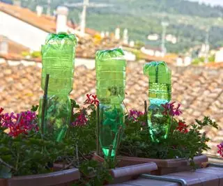 5 idées de système d'arrosage de jardin DIY rapides et faciles à réaliser en réutilisant des articles ménagers de tous les jours