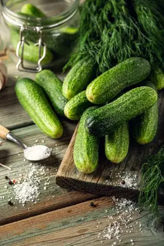 concombres prêts à être conservés