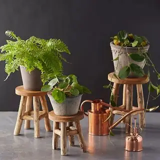 Anthropologie plantestand