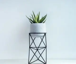 Plantestativ i sort metal