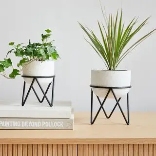 West Elm plantestand