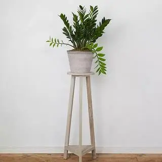 Anthropologie plantestand