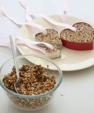 Monty-Don-alimentation-des-oiseaux-conseils-2