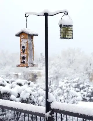 mangeoires à oiseaux dans la neige