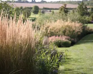 Un exemple de plantation d'un parterre de fleurs contenant des graminées ornementales
