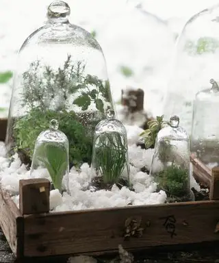 Bereiten Sie den Garten auf den Winter vor