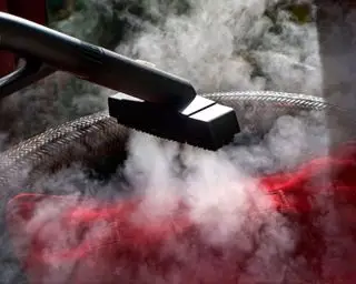 Come sbarazzarsi delle pulci in casa – 5 modi rapidi ed efficaci per uccidere un'infestazione