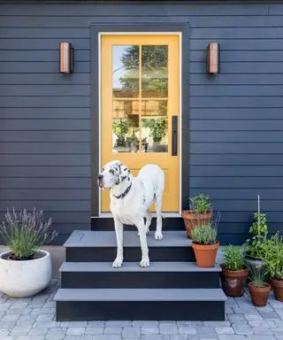 איך לגרום לדלת כניסה להיראות יקרה יותר - 5 שדרוגי הצהרה לתיקון מהיר