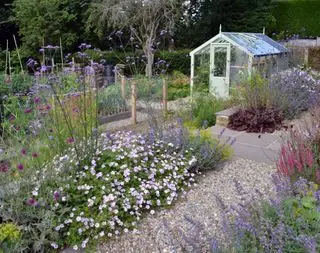 aménagement de jardin informel conçu par Tracy Foster Garden Design