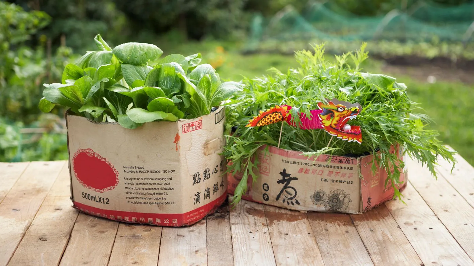 정원에 덮개를 씌우기 위해 유지 관리가 덜 필요한 판지 방법을 시도했는데 정말 효과가 있었습니다. 흙 위에 놓을 때 이 한 가지를 잊지 마세요.