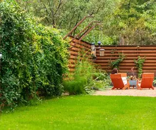 Najlepšie rastliny na zakrytie plotu – 10 spôsobov, ako zamaskovať plot krásnymi kvetmi a listami