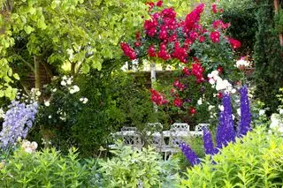 Cottage baggård ideer udendørs spisning