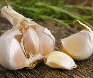 Un bulbe d'ail séparé en gousses pour la plantation