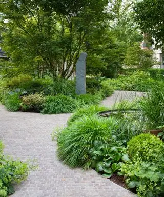 שביל אבן מתעקל בגן שופע