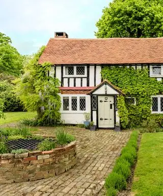 רעיונות לשביל גן