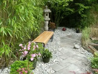 Sådan forhindrer du bambus i at sprede sig