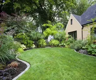 Dom i zagospodarowany podwórko z ukształtowanym trawnikiem