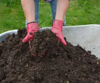 Taczka pełna dobrze zgniłego domowego kompostu