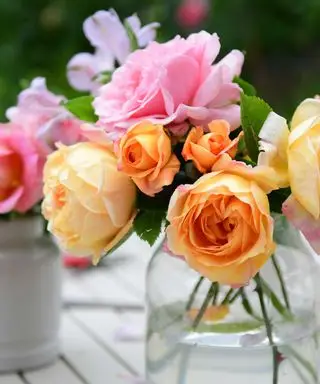 roses de jardin dans un vase
