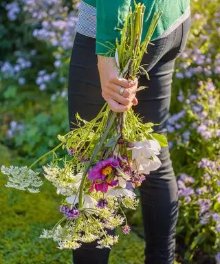 10 meilleures fleurs de jardin coupées à cultiver – ainsi que des conseils de plantation pour l’ombre et le soleil