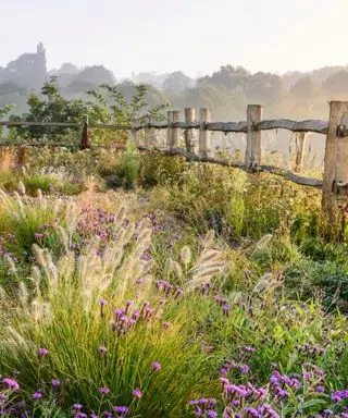 Amerikanske hårdførhedszoner – alt hvad du behøver at vide om dem