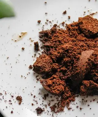 Er kaffegrums godt for planter? Vi afslører alt om denne miljøvenlige plantegødning