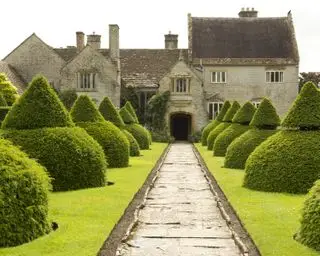 Formschnitt im Kunsthandwerksgarten des Lytes Cary National Trust