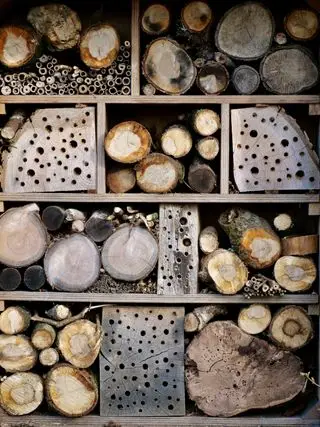 hôtel à insectes en bois dans le jardin